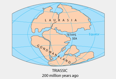 Triassic continental drift
