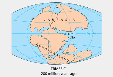 define pangaea