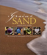 A Grain of Sand by Dr. Gary Greenberg