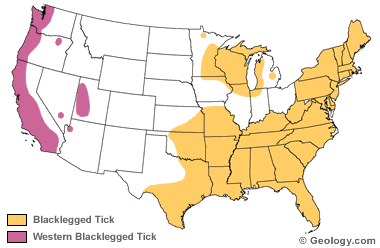 Black legged tick distribution map
