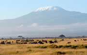 Mount Kilimanjaro