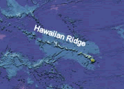 Hawaiian Hot Spot