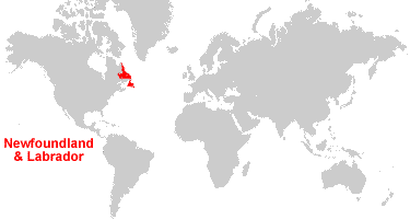 Newfoundland In World Map Newfoundland And Labrador Map & Satellite Image | Roads, Lakes, Rivers,  Cities