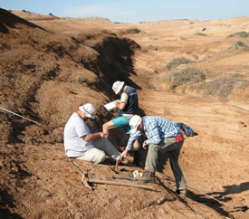 geology field research