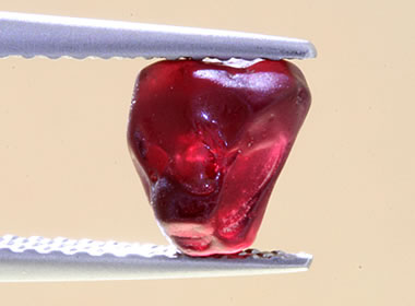 Ant hill garnet rough