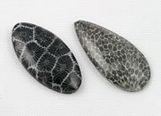 Fossil Gemstones