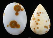 polka dot agate