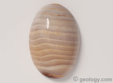 Opalized Wood Cabochon