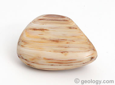 Opalized Wood Tumbled Stone