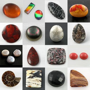 Organic Gemstones: Amber, pearl, jet, dinosaur bone and more!