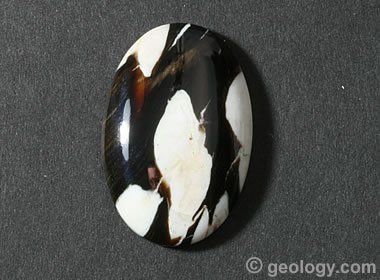 peanut wood cabochon