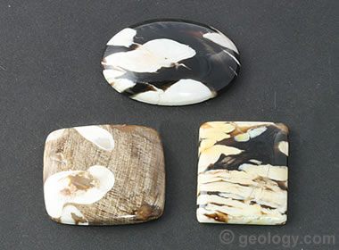 Peanut wood cabochons