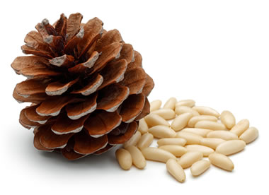 pine nuts