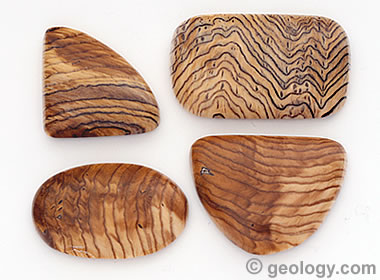 Natural Opalized Petrified Wood