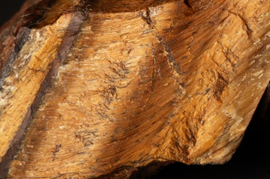 Tiger's-Eye Rough