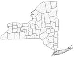New York drought map