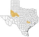 Texas Map Rivers