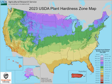 USDA Plant Hardiness Zone Map