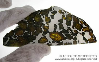 half slice of a pallasite meteorite