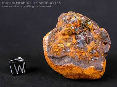 Weathered Brenham meteorite