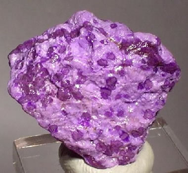 Massive Sugilite