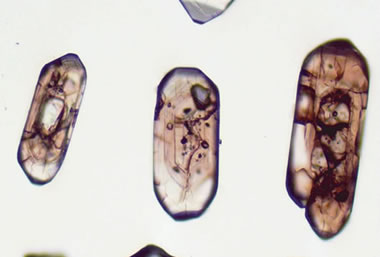 zircon grains