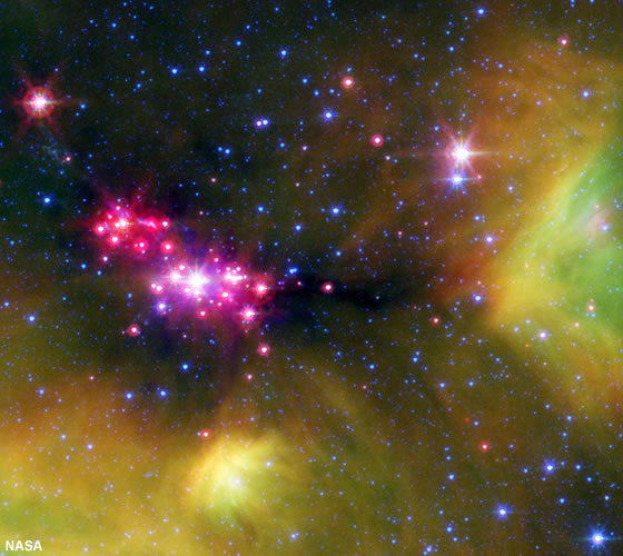 Serpens constellation - infant stars