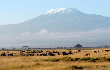 Highest Mountain In Asia Europe Africa North America