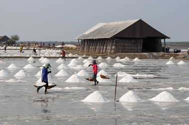 artisinal salt makers