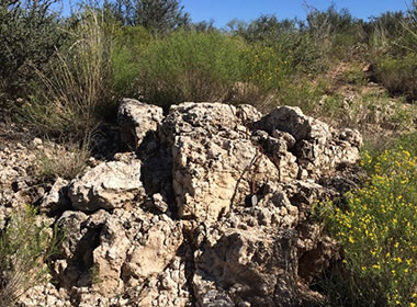 caliche outcrop