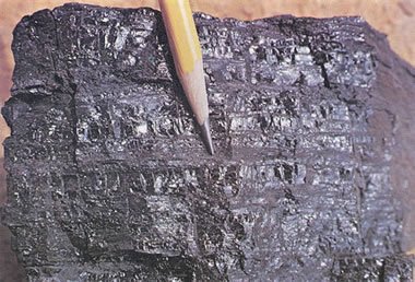 https://geology.com/rocks/pictures/coal-380.jpg