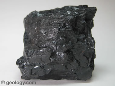 sedimentary rocks coal