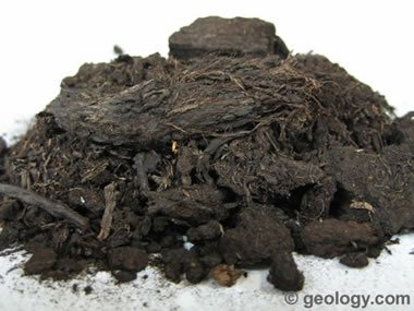 Peat coal