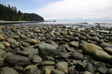 beach covered with rounded rocks