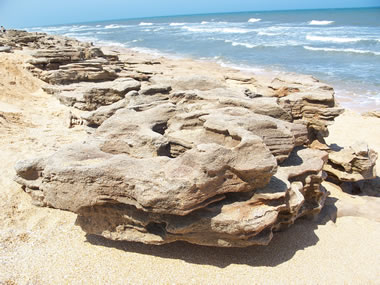 Coquina Outcrop