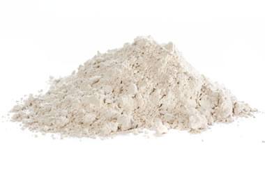 diatomaceous earth