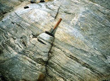 Gneissic Granodiorite