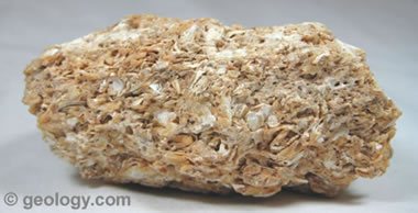 Oolitic Sedimentary Rock Sample Stock Photo Alamy, 49% OFF