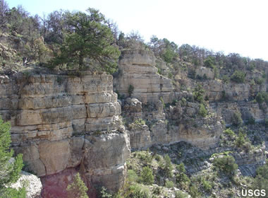 dolomitic limestone