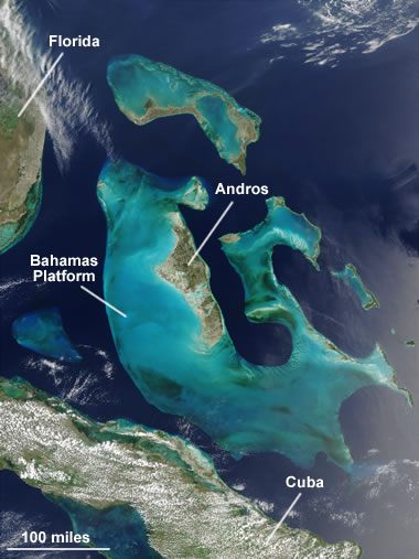 The Bahamas Platform, a limestone-forming environment