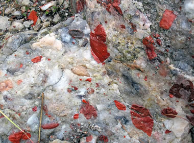 Canadian Puddingstone