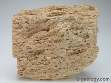 Pumice - My rock family