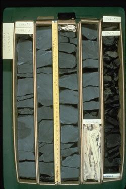 Shale core samples