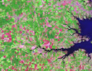 Delaware Satellite Image