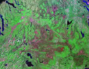 Michigan Satellite Image