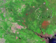 New Jersey Satellite Image