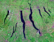 New York Satellite Image