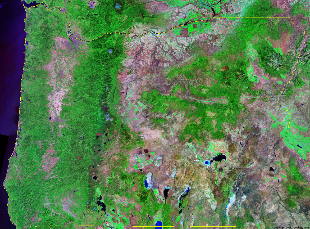 Oregon satellite photo