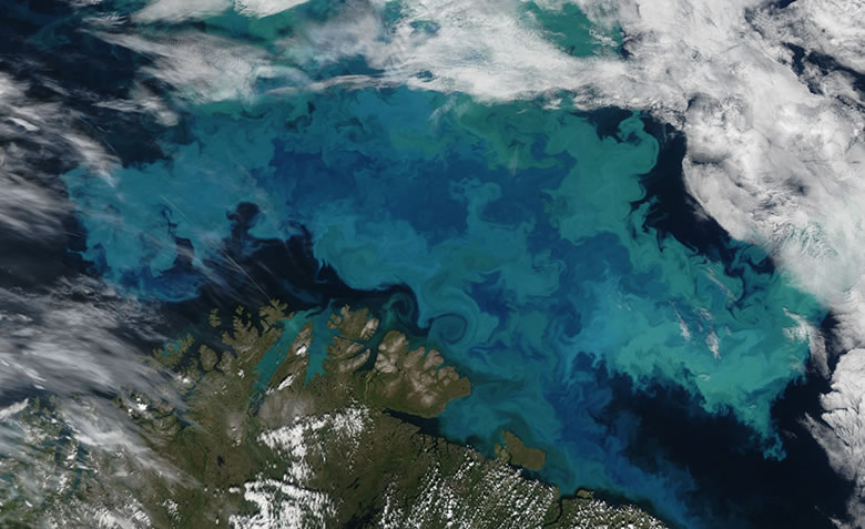phytoplankton bloom in the Barents Sea off the coast of northern Norway and northwestern Russia