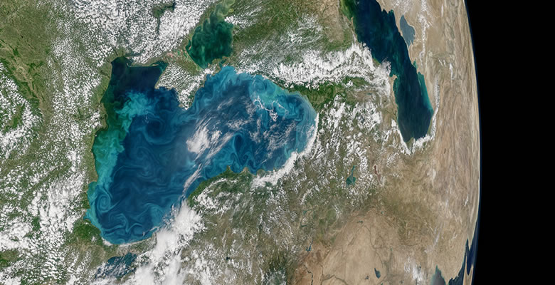 Phytoplankton Bloom in the Black Sea